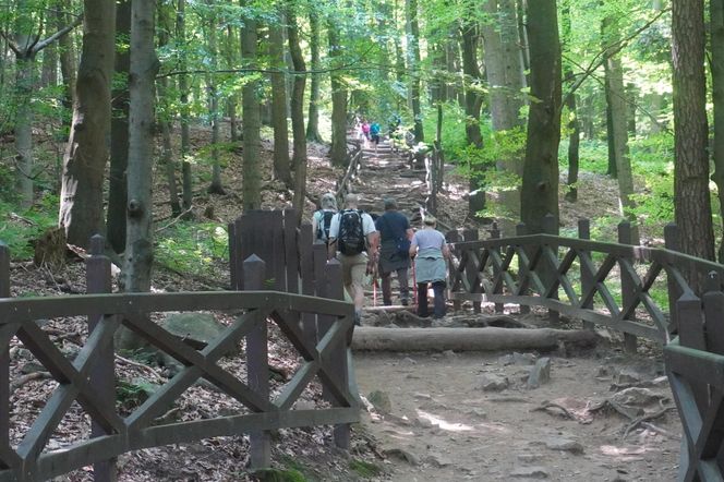 Wejście na Łysicę