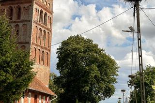 Orły plądrują wieś z jej skarbów. Żarłoczne ptaki nie mają litośc