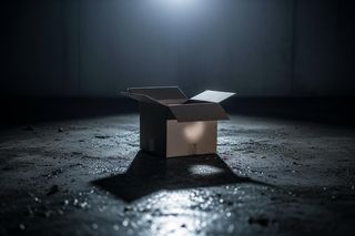 Zaginiona 13-latka odnaleziona w pudełku. Jak doszło do tego, że trafiła do piwnicy?