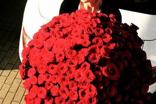 doda, emil haidar, róże