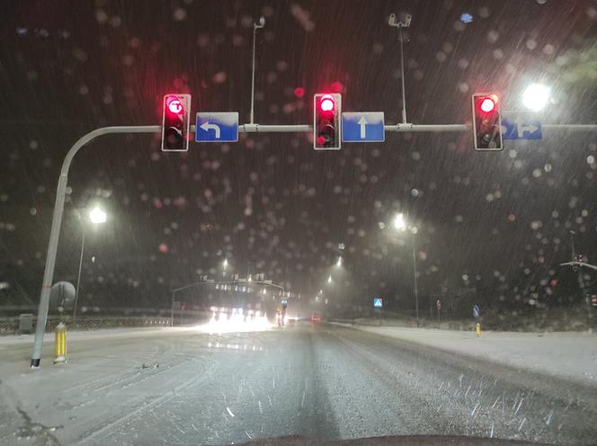 Śnieżyca w Śląskiem. Koszmarne warunki na drogach [ZDJĘCIA]
