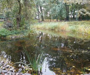 Ogród Saski w Lublinie w jesiennej odsłonie