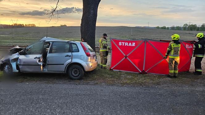 Na prostej zjechał z drogi i uderzył w drzewo