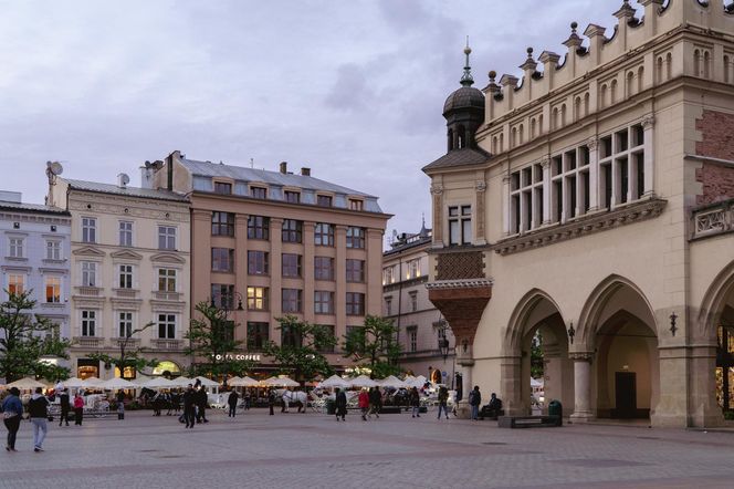 Feniks na Rynku Głównym w Krakowie