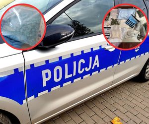 Policyjny nalot na mieszkanie w Toruniu