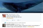 Niebieski Wieloryb - o co chodzi? Na czym polega niebezpieczna gra nastolatków
