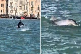 Szok w Wenecji! Ludzie chwycili za telefony i patrzyli na wodę