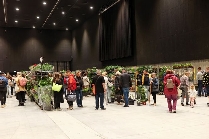 Festiwal roślin odbywa się w Katowicach