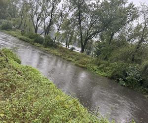 Brynica woj. śląskie - Sosnowiec, Stawiki