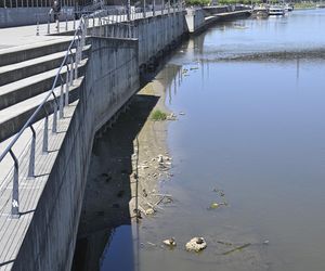 Niski stan wody w Wiśle