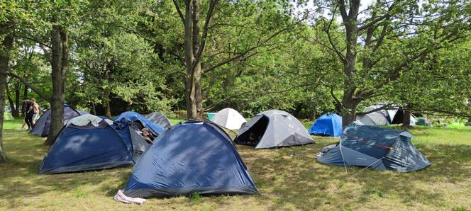 Na Łódź Summer Festival przyjechali z całej Polski. Prawie wszyscy czekają na Louisa Tomlinsona