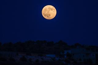Pełnia Księżyca w styczniu 2024. Kiedy na niebie pojawi się Wilczy Księżyc?