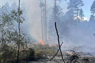 Pożar lasu w gminie Bliżyn