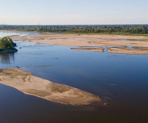 To prawdziwy raj na ziemi. Zakazana mazowiecka plaża zachwyca