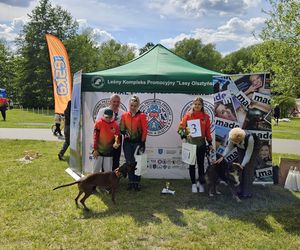 Festiwal Przyjaciół Zwierząt w Olsztynie. Park Centralny opanowały radosne pieski