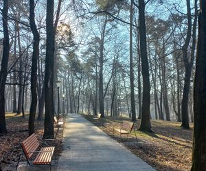 Uzdrowisko Kraków Swoszowice