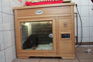 USG I INKUBATOR DLA PSIAKÓW.