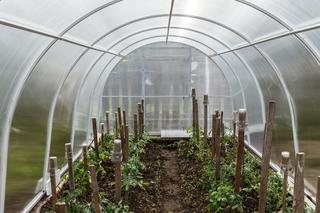 Szklarnia z poliwęglanu 