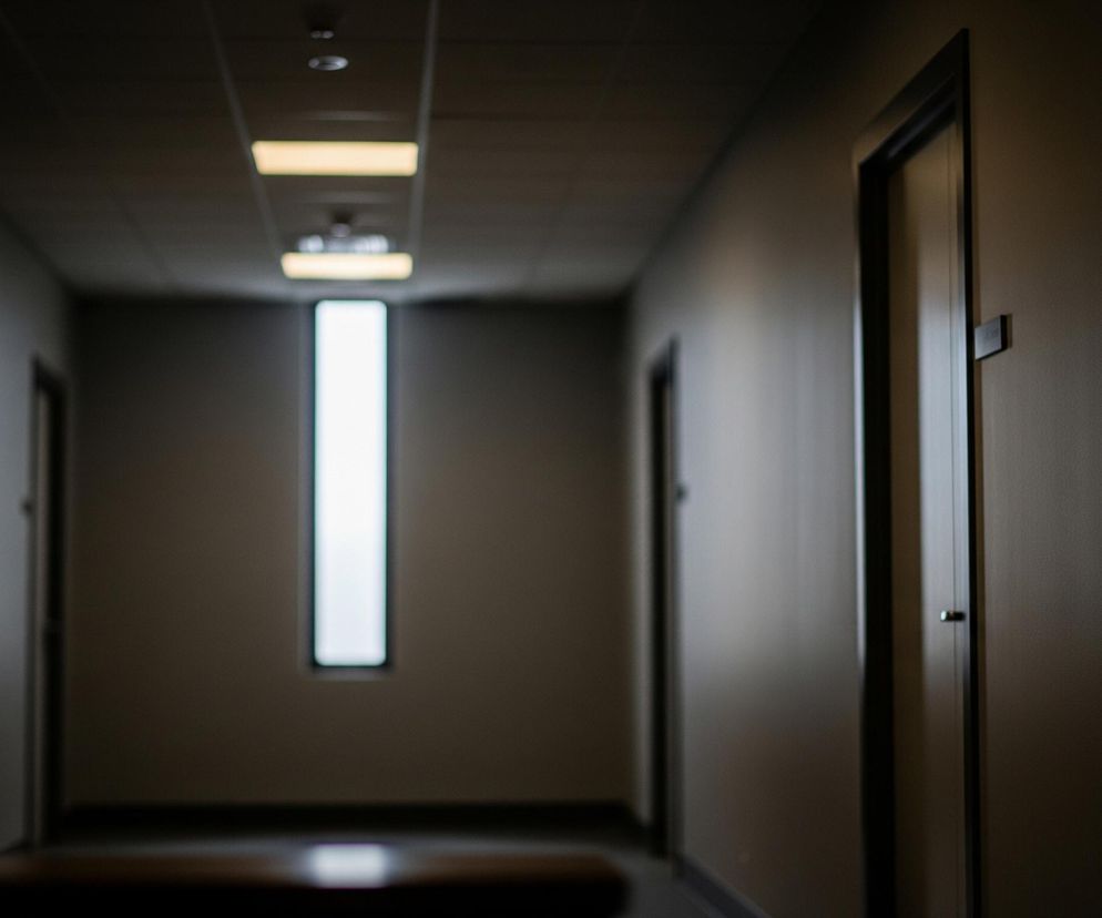 Przedstawia ciemny korytarz z kremowo-szarymi ścianami i drzwiami po obu stronach. Na suficie widać rzędy prostokątnych, jasno świecących lamp, tworzących odblaski na podłodze. Na końcu korytarza znajduje się wysokie, pionowe okno lub świetlik, z którego bije jasne światło, podczas gdy dno obrazu jest zacienione i rozmyte.