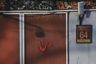 Miejska Galeria Sztuki w Częstochowie - zdjęcia. Budynek z PRL-u grał w serialu Rojst