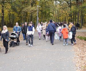 Tłumy na cmentarzu na Miłostowie