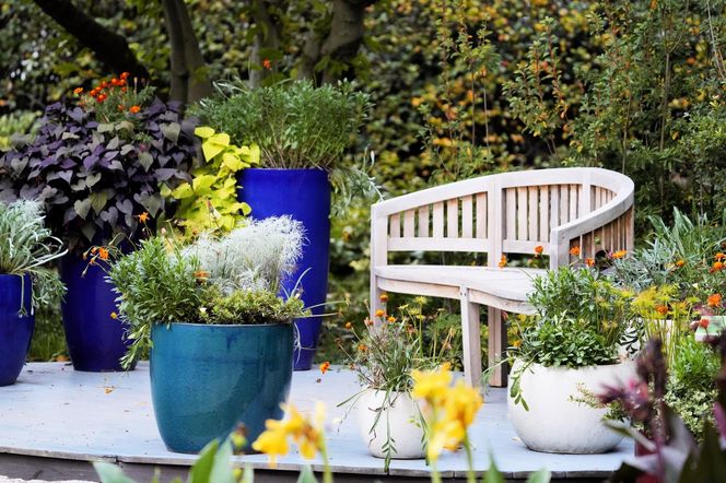 Ogród Botaniczny we Wrocławiu