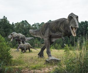 JuraPark w Krasiejowie. Podróż w czasie o miliony lat tylko godzinę drogi z Katowic