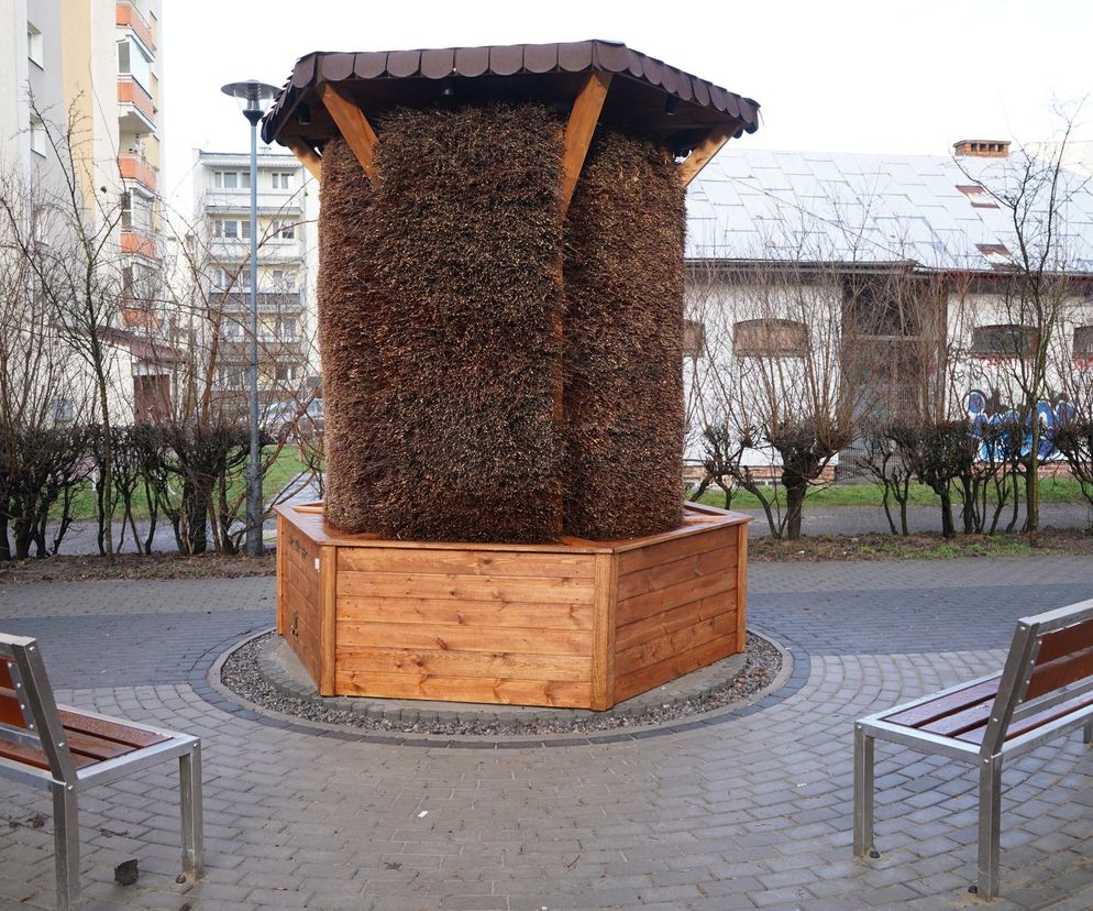 Puławy -  tężnia solankowa na osiedlu Niwa