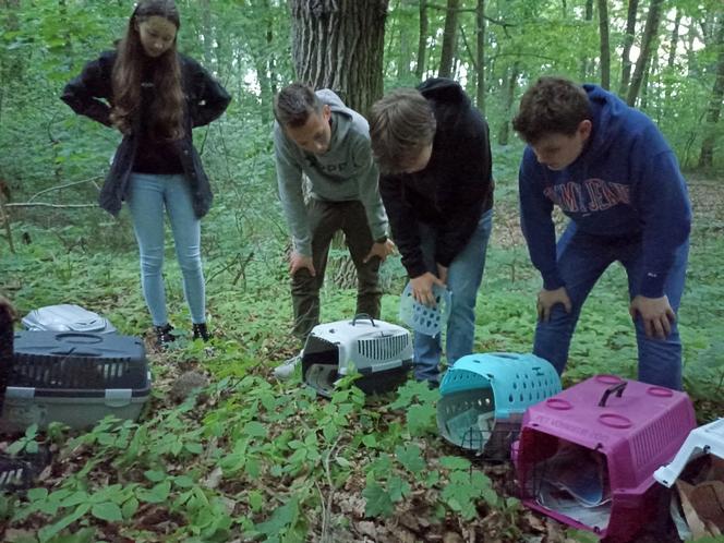 O jeże zadbają uczniowie z Technikum Leśnego w Miliczu