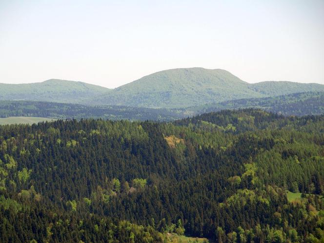 Najdziksze pasmo górskie w Polsce. Przez Beskid Niski setki lat temu wiodły trakty handlowe 