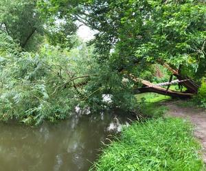 Kolejne groźne nawałnice przeszły nad Warmią i Mazurami. Strażacy interweniowali kilkaset razy [ZDJĘCIA]