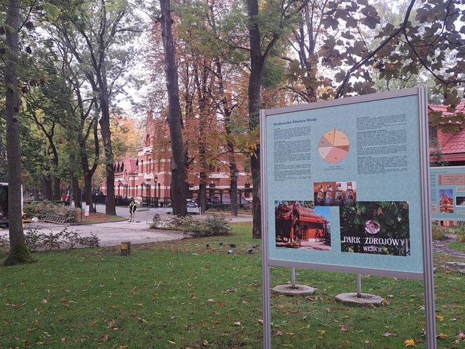 Park Zdrojowy w Krakowie