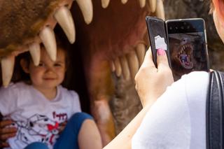 Atrakcje Bałtowskiego Kompleksu Turystycznego. Co warto zobaczyć w czasie wakacji?