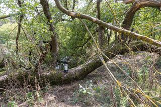 20-letni Milan miał wielkie marzenia, ale nigdy ich nie spełni. Co stało się nad Wartą? Dramatyczny apel ojca