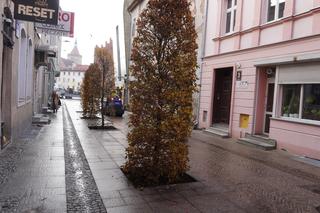 Alejka w centrum Olsztyna zmieniła się nie do poznania. Będzie najpiękniejsza w mieście? [ZDJĘCIA]