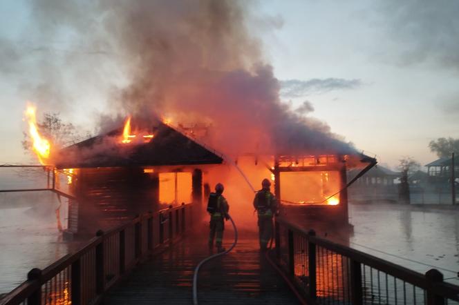 Pożar Zoo Safari w Borysewie! Kilkadziesiąt zwierząt zginęło