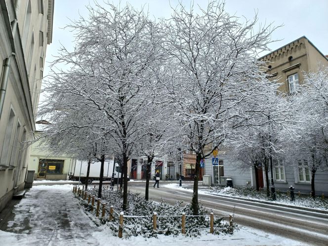 Leszno wygląda bajkowo! Na walentynki sypnęło śniegiem