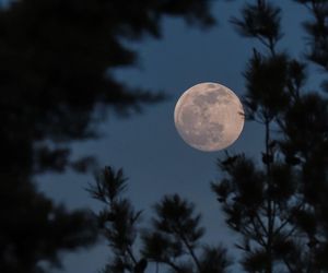 Truskawkowy Księżyc w Polsce. Czerwcowa pełnia będzie wyjątkowa