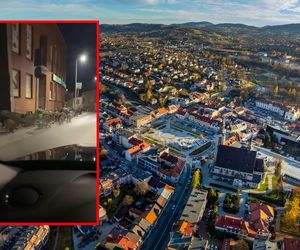 Dziki w centrum małopolskiego miasta. Urządziły sobie kilkugodzinny spacer
