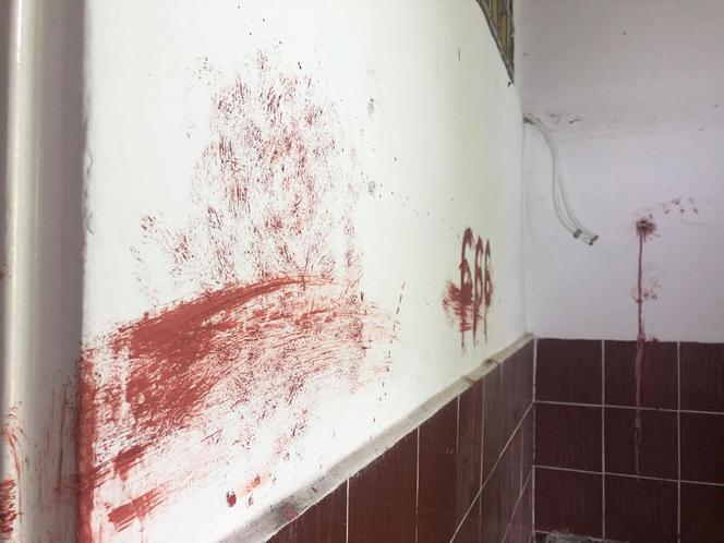 Scena jak z horroru w Sobótce! Martwy kot w wannie i mnóstwo krwi!