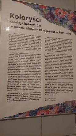 "Koloryści" w Muzeum Zamojskim