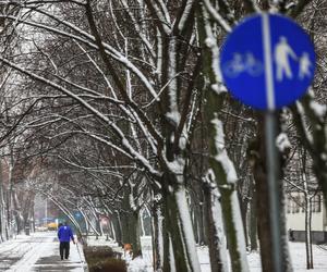 Śnieg w Polsce - marzec 2023. Kiedy ocieplenie? Synoptycy wskazali konkretną datę!