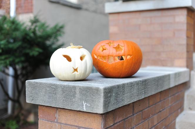 Co zrobić z dynią po Halloween? Mamy pięć sprawdzonych sposobów i przepisów 