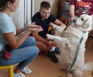Suczka Beza terapeutką w szpitalu! Mazowiecki Szpital Specjalistyczny rozpoczyna zajęcia z dogoterapii dla dzieci
