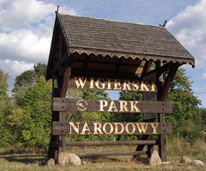 Wigierski Park Narodowy. To bezcenny obszar podlaskiej natury