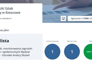 Praca w urzędach w Rzeszowie. Aktualne oferty pracy. Gdzie szukają pracowników? Ile można zarobić? [LISTA]