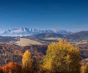 Nowa atrakcja turystyczna w Małopolsce. Wieża z widokiem na Tatry 