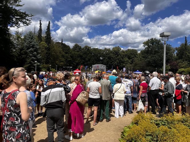 Kolejka tort urodziny Szczecina 