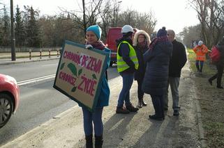 Zostaniemy tu do marca. Aktywiści w obronie drzew nad Wisłą