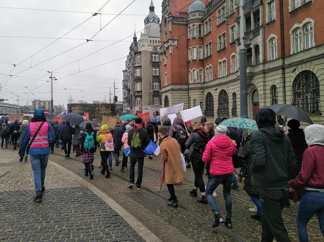 Siostry idziemy po władzę! Wykrzykiwały uczetniczki Śląskiej Manify [AUDIO, ZDJĘCIA]